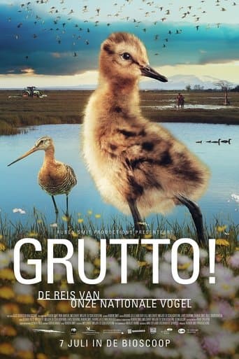Movie poster for Grutto! De reis van onze nationale vogel