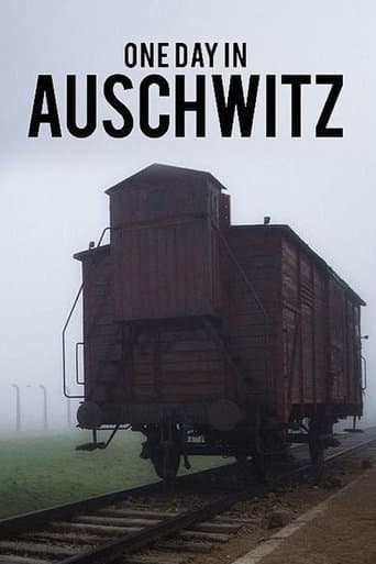 Movie poster for One Day in Auschwitz
