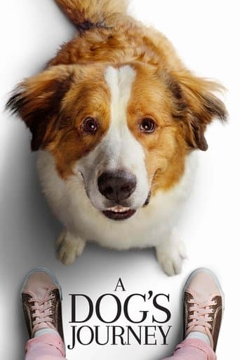Movie poster for A Dog's Journey