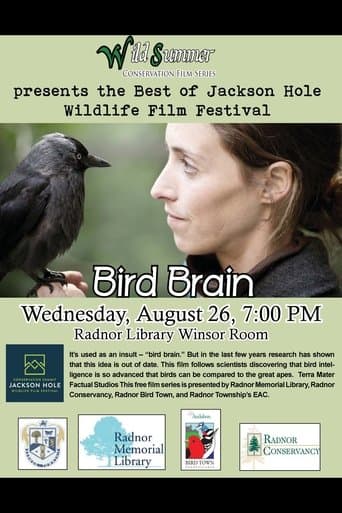 Movie poster for Bird Brain