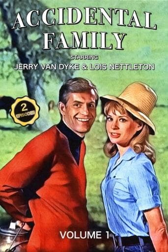 Movie poster for Accidental Family