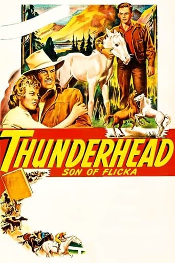 Movie poster for Thunderhead: Son of Flicka