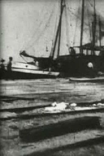 Movie poster for Bird's-Eye View of Dock Front, Galveston