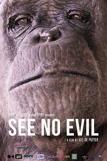 Movie poster for See No Evil
