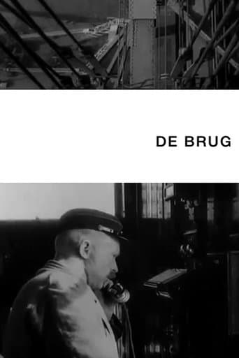Movie poster for The Bridge