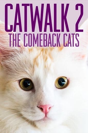 Movie poster for Catwalk 2: The Comeback Cats