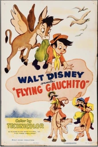 Movie poster for The Flying Gauchito