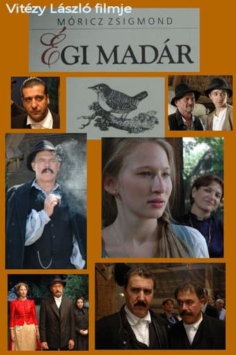 Movie poster for Égi madár