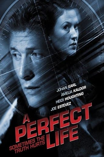 Movie poster for A Perfect Life