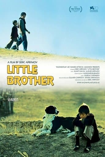 Movie poster for Little Brother