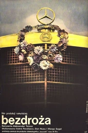 Movie poster for Astray