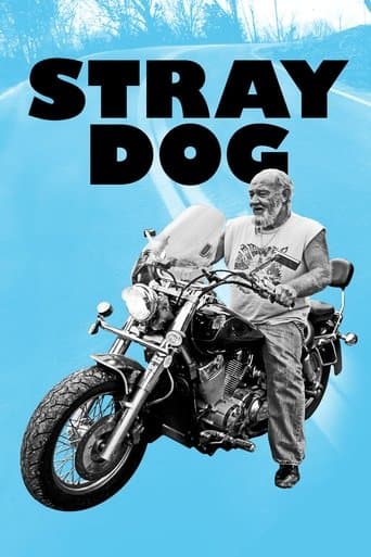 Movie poster for Stray Dog