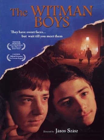 Movie poster for The Witman Boys
