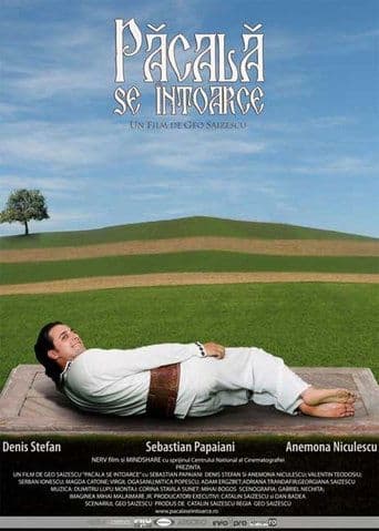 Movie poster for Păcală se întoarce