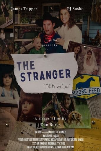 Movie poster for The Stranger