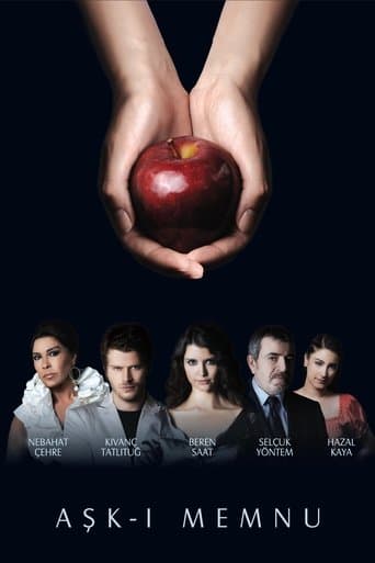 Movie poster for Forbidden Love