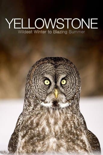 Movie poster for Yellowstone: Wildest Winter to Blazing Summer