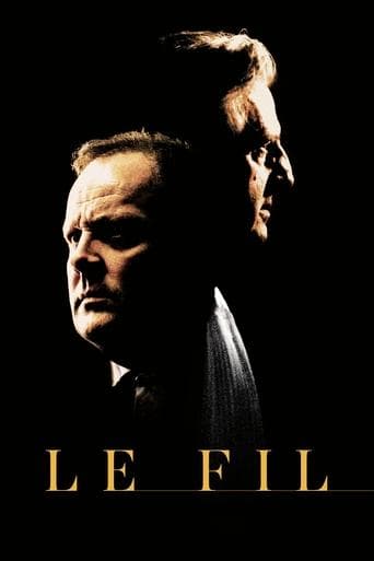 Movie poster for An Ordinary Case