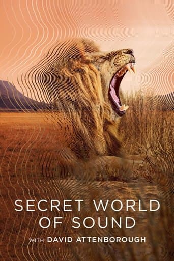 Movie poster for Secret World of Sound