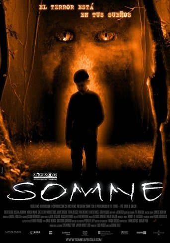 Movie poster for Somne