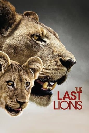 Movie poster for The Last Lions