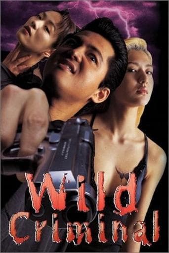 Movie poster for Wild Criminal