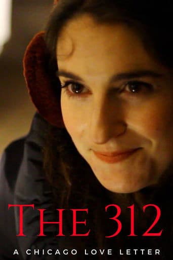 Movie poster for The 312