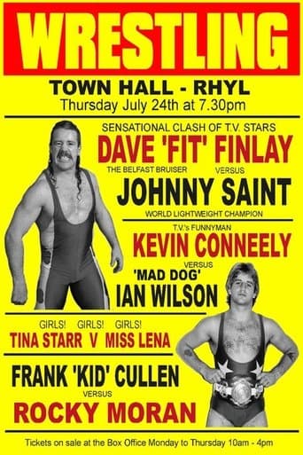Movie poster for The Fit Finlays