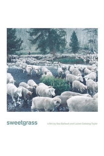 Movie poster for Sweetgrass