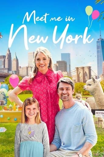Movie poster for Meet Me in New York