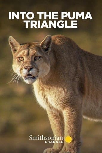 Movie poster for Into the Puma Triangle