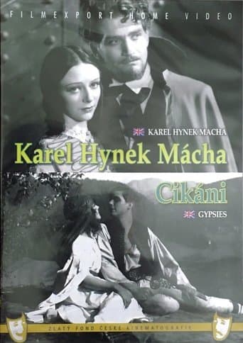 Movie poster for Gypsies