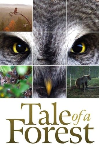 Movie poster for Tale of a Forest