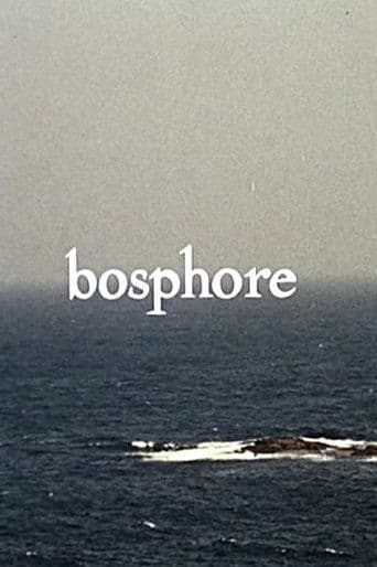Movie poster for Bosphore