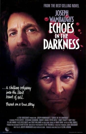 Movie poster for Echoes in the Darkness