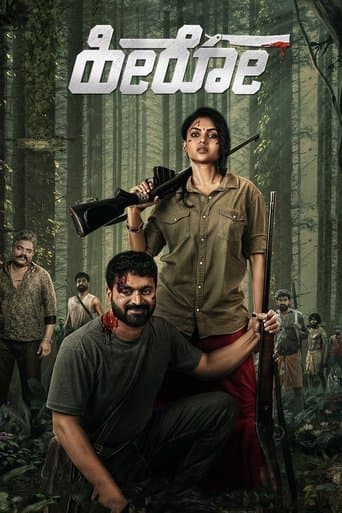 Movie poster for Hero