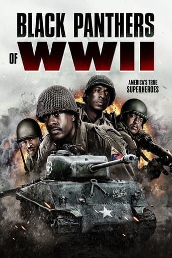 Movie poster for Black Panthers of WWII
