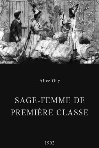 Movie poster for Midwife to the Upper Class