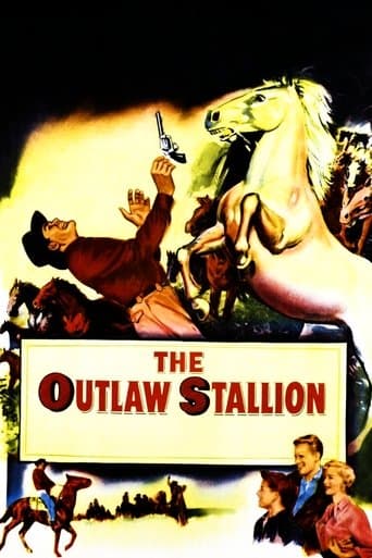 Movie poster for The Outlaw Stallion