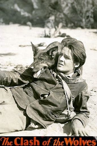 Movie poster for Clash of the Wolves