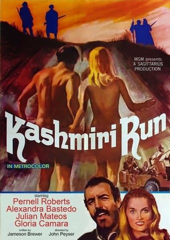 Movie poster for The Kashmiri Run