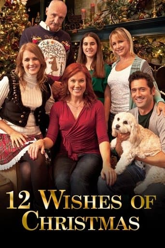 Movie poster for 12 Wishes of Christmas