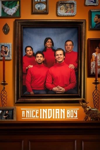 Movie poster for A Nice Indian Boy