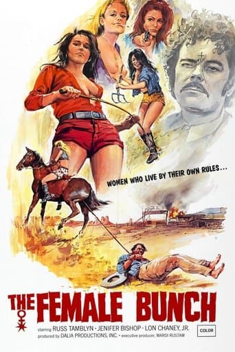 Movie poster for The Female Bunch