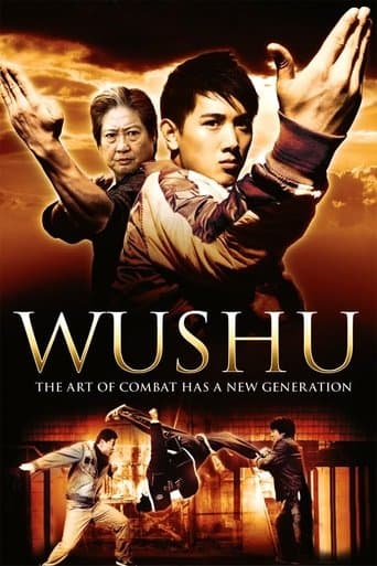 Movie poster for Wushu