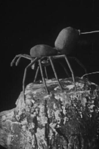 Movie poster for To Demonstrate How Spiders Fly