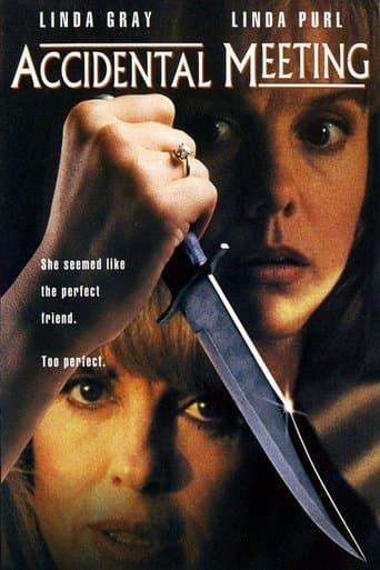 Movie poster for Accidental Meeting