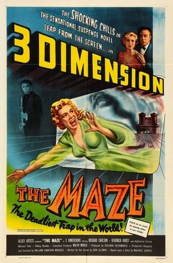 Movie poster for The Maze