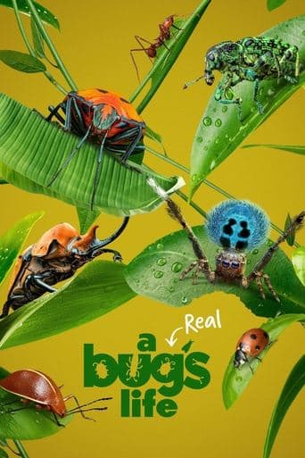 Movie poster for A Real Bug's Life