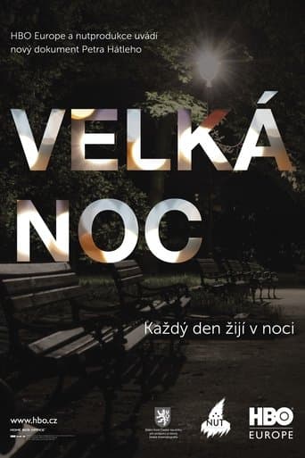 Movie poster for The Great Night